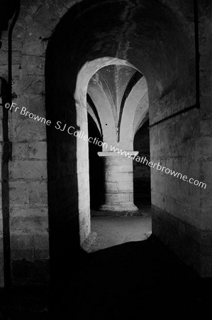 CATHEDRAL IN THE CRYPTS THE WHITE COLUMN